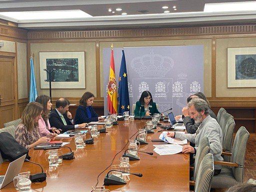 La ministra de Sanidad reunida con los consejeros de Sanidad en el Consejo Interterritorial / Foto: Ministerio de Sanidad