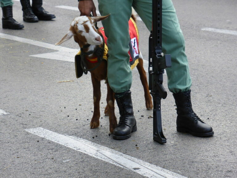 Cabra de la Legión