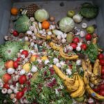 Los residuos orgánicos pueden tener una segunda vida reciclados en suplementos dietéticos o servir para la obtención de biocombustibles / Foto: OpenIDUser2