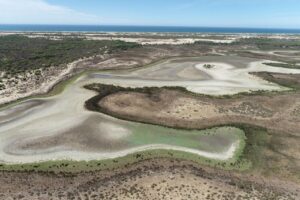 Imagen aérea de la laguna de Santa Olalla el pasado mes de septiembre, cuando se secó por completo. Se trata de la única laguna de agua permanente que queda en Doñana. / EBD-CSIC