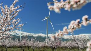 Parque eólico de Iberdrola en primavera en Andalucia