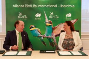 El presidente de Iberdrola, Ignacio Galán, y la directora ejecutiva de BirdLife International, Patricia Zurita, acuerdan impulsar un desarrollo renovable que favorezca la biodiversidad y la lucha contra el cambio climático / Foto: Iberdrola