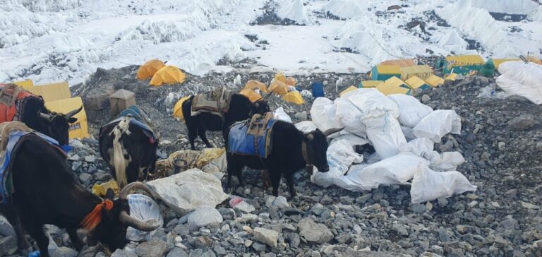 Recogida de basura en el campamento base del monte Everest / Foto: Comité de Control de la Contaminación Sagarmatha