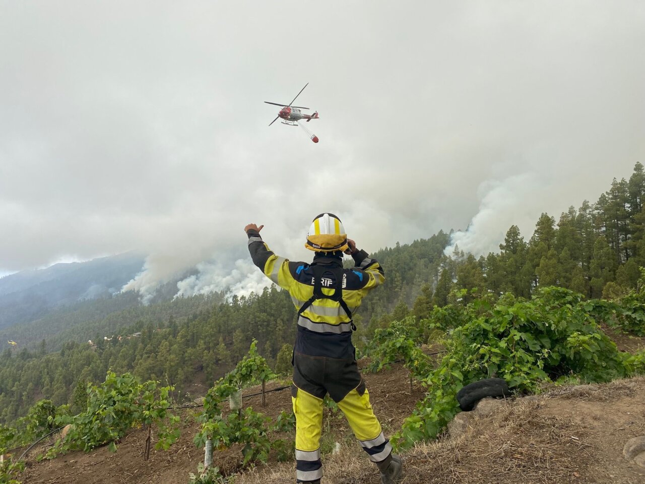 Medios aéreos y terrestres actuando en el incendio de La Palma / Foto: Gobierno de Canarias