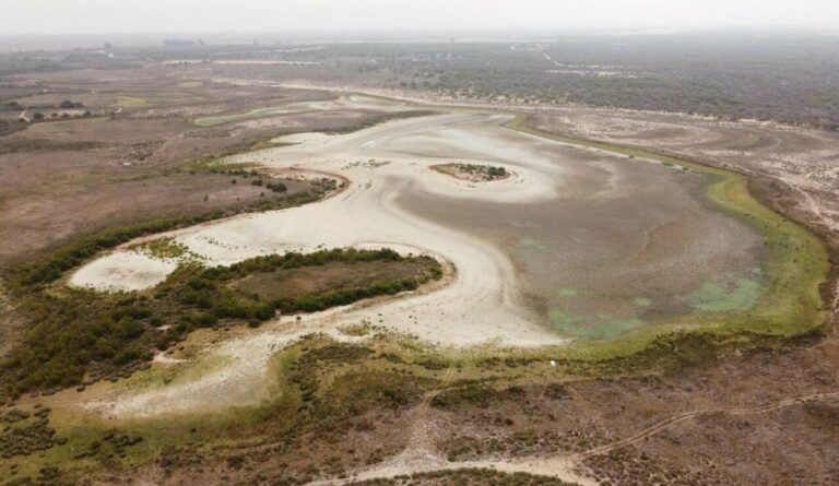 Imagen aérea de la laguna de Santa Olalla el 9 de agosto de 2023. / Carlos Ruiz-CSIC