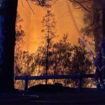 Efectivos de la UME trabajan en el incendio de Tenerife / Foto: UME