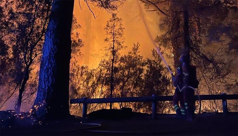 Efectivos de la UME trabajan en el incendio de Tenerife / Foto: UME