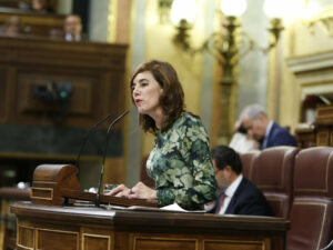 La portavoz del Grupo Plurinacional Sumar, Marta Lois, durante una intervención en la Cámara baja. (Foto: Congreso)
