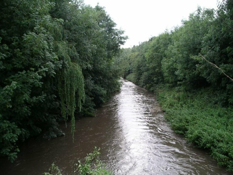 Los investigadores caracterizaron las comunidades microbianas halladas en la superficie de plásticos sumergidos en el río Sowe (Reino Unido). / CC Wikipedia