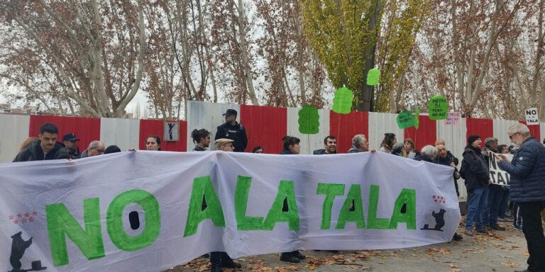 protesta contra la tala