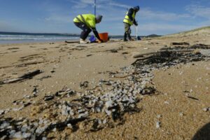 Operarios retiran pellets de plástico el pasado viernes en la playa de O Vilar, en el parque natural de Corrubedo, A Coruña. EFE/Lavandeira jr