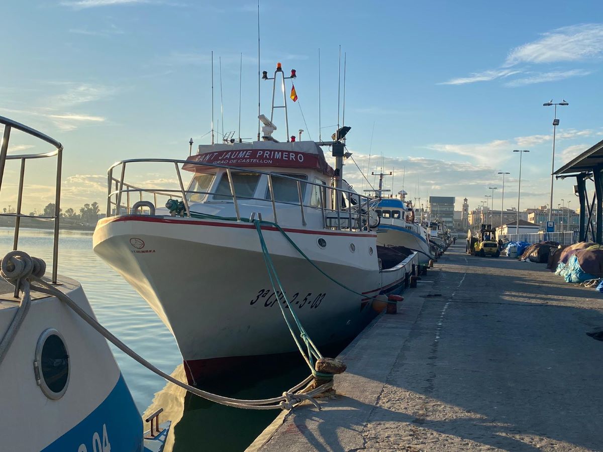 Imagen de un barco pesquero amarrado a puerto