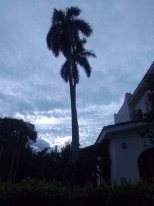 La Habana