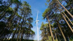 Imagen de un parque eólico de Iberdrola.
