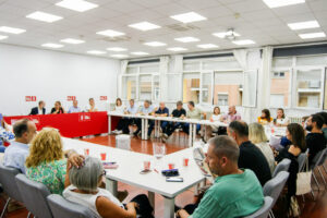 Imagen de la reunión de la Ejecutiva Regional del PSOE de Aragón. (Foto: PSOE de Aragón)