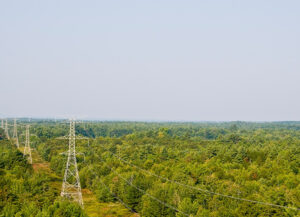 Red eléctrica. (Foto: Iberdrola)