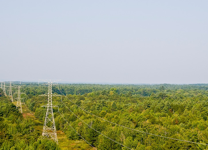 Red eléctrica. (Foto: Iberdrola)