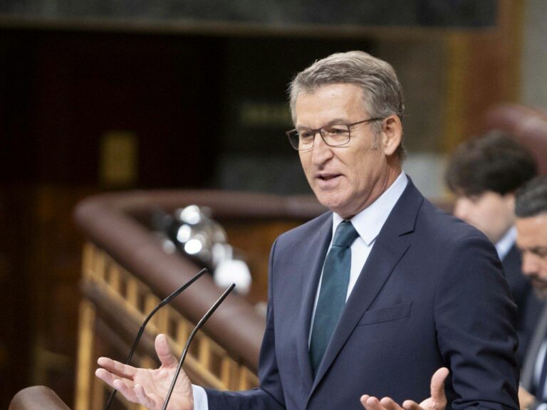 El líder del PP, Alberto Núñez Feijóo, en una imagen en el hemiciclo. (Foto: Congreso)