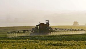 Uno de los principales responsables del declive de la biodiversidad es el uso masivo de pesticidas sintéticos en la agricultura / Pixabay