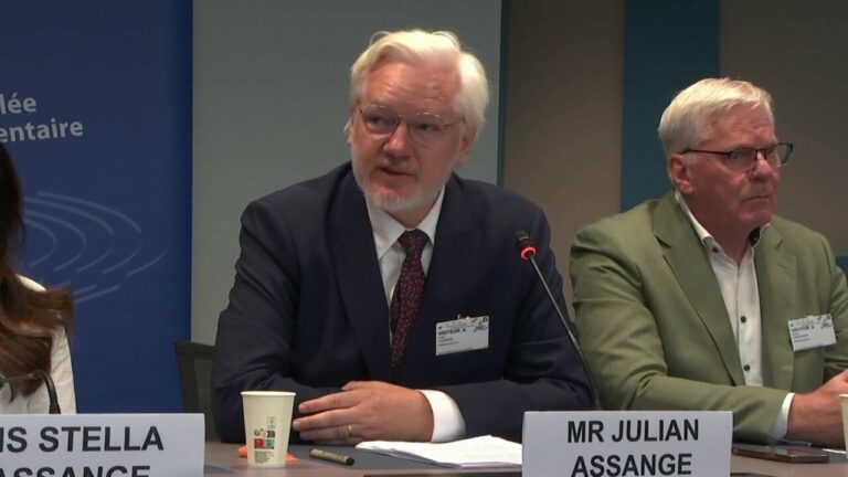 Julian Assange, fundador de Wikileaks, comparece en el Consejo de Europa en Estrasburgo - Parliamentary Assembly Of The Co / DPA