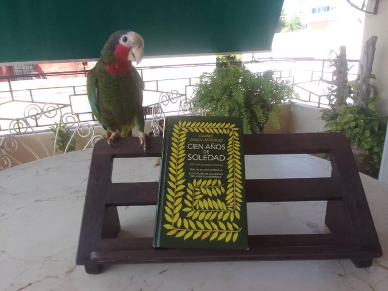 Cien años de soledad