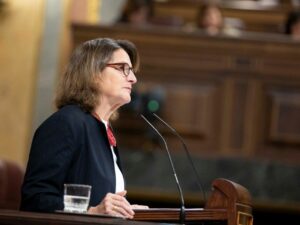 La vicepresidenta tercera y ministra para la Transición Ecológica y el Reto Demográfico, Teresa Ribera, durante su comparecencia en el pleno. (Foto: Congreso)