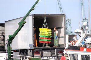 Camion frigorífico