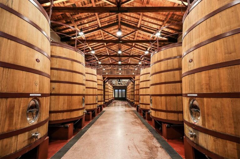 Fermentación