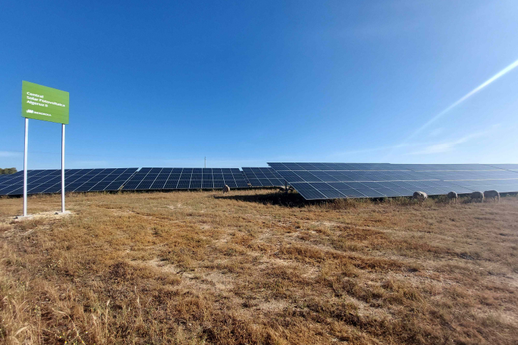 planta fotovoltaica Iberdrola