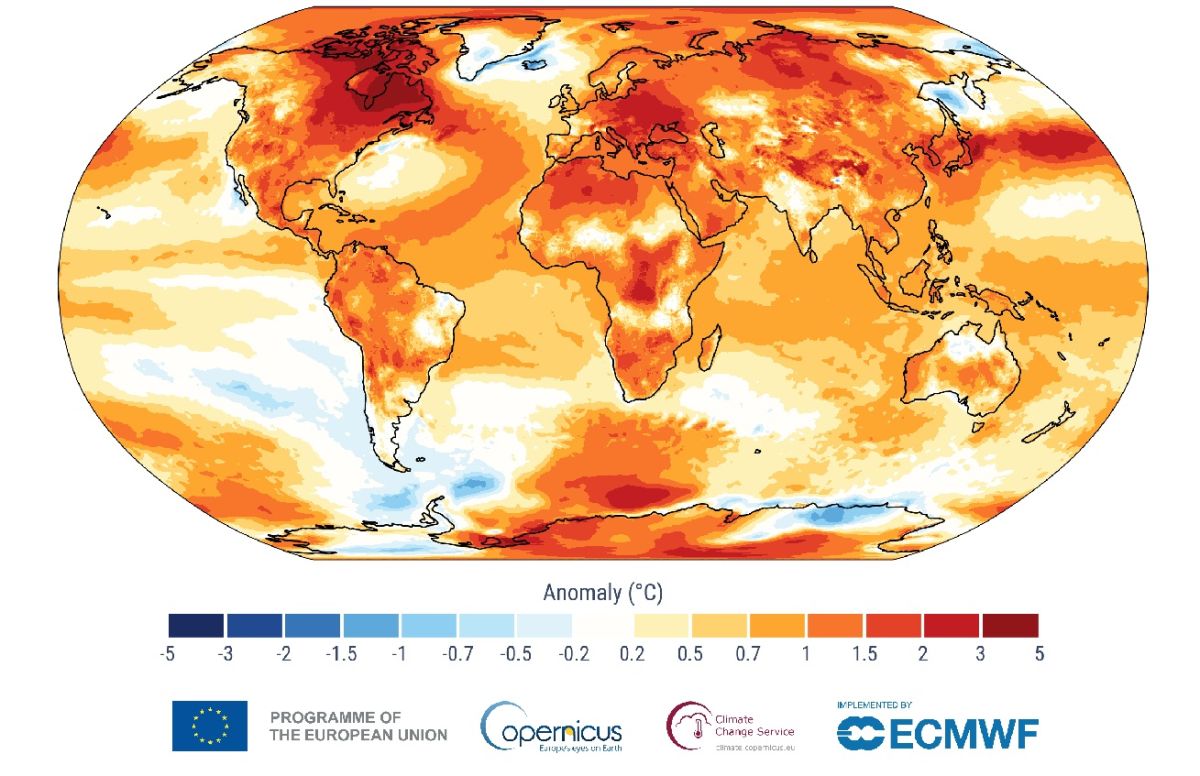Anomalías de temperatura en la superficie de la Tierra en 2024 respecto a la media entre 1991 y 2020 | Imagen de C3S/Ecwmf Anomalías de temperatura en la superficie de la Tierra en 2024 respecto a la media entre 1991 y 2020 | Imagen de C3S/Ecwmf