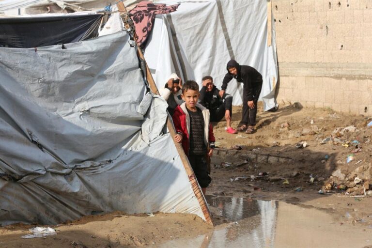 Desplazados palestinos viven en tiendas en Deir el Balá, en la Franja de Gaza /.Foto: Europa Press - Contacto - Omar Ashtawy