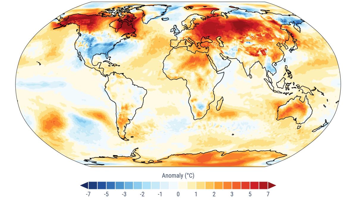 Anomalía de la temperatura superficial de la Tierra en enero de 2025 en comparación con la media entre 1991 y 2020 | Imagen de C3S/ECMWF Anomalía de la temperatura superficial de la Tierra en enero de 2025 en comparación con la media entre 1991 y 2020 | Imagen de C3S/ECMWF