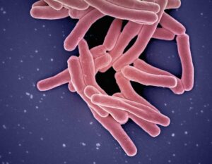 La bacteria 'Mycobacterium tuberculosis', el patógeno responsable de la enfermedad de la tuberculosis. Imagen 3D generada por ordenador. / Unsplash | NIAID