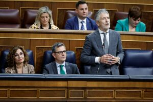 El ministro del Interior, Fernando Grande-Marlaska, en el Congreso. (Foto: Congreso de los Diputados)