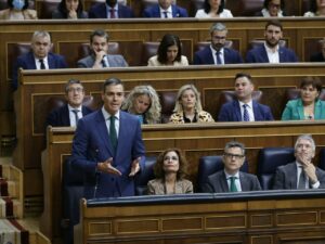 El presidente del Gobierno, Pedro Sánchez, en la sesión de control. (Foto: Congreso)