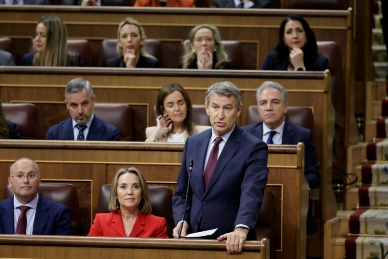 El líder del PP, Alberto Núñez Feijóo, en una sesión de control al Gobierno. (Foto: Congreso)