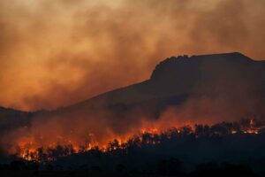 Europa se enfrenta a incendios forestales cada vez más frecuentes, intensos y difíciles de controlar. / Unsplash