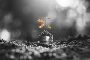Criptomonedas