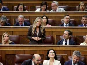 La diputada del PP Noelia Núñez en una sesión de control al Gobierno Foto Congreso