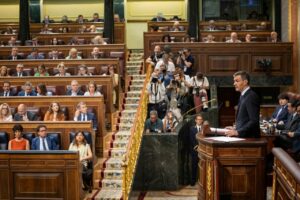 El presidente del Gobierno, Pedro Sánchez, ante el pleno del Congreso. (Foto: PSOE/Eugenia Morago)