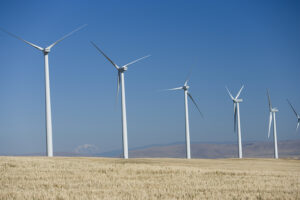 Imagen de molinos de viento. (Fuente: Iberdrola)