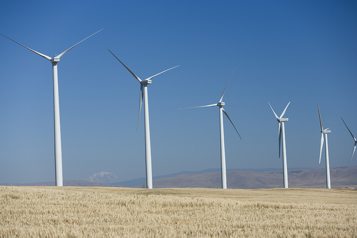Imagen de molinos de viento. (Fuente: Iberdrola)