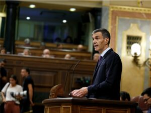 El presidente del Gobierno, Pedro Sánchez, en el pleno. (Foto: Congreso)