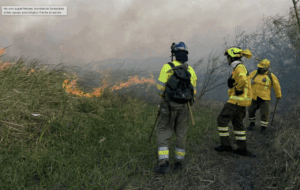 La temporada de incendios suele empezar el 1 de junio y se extiende hasta el 15 de octubre. / WOS Wildfire