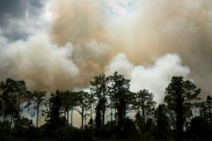El humo de los incendios forestales aumenta la mortalidad por causas respiratorias. / Unsplash