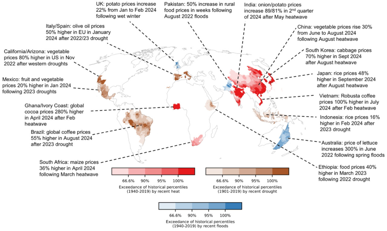 Mapa de los efectos del clima en el suministro de alimentos. (Fuente: Barcelona Supercomputing Center – Centro Nacional de Supercomputación (BSC-CNS))
