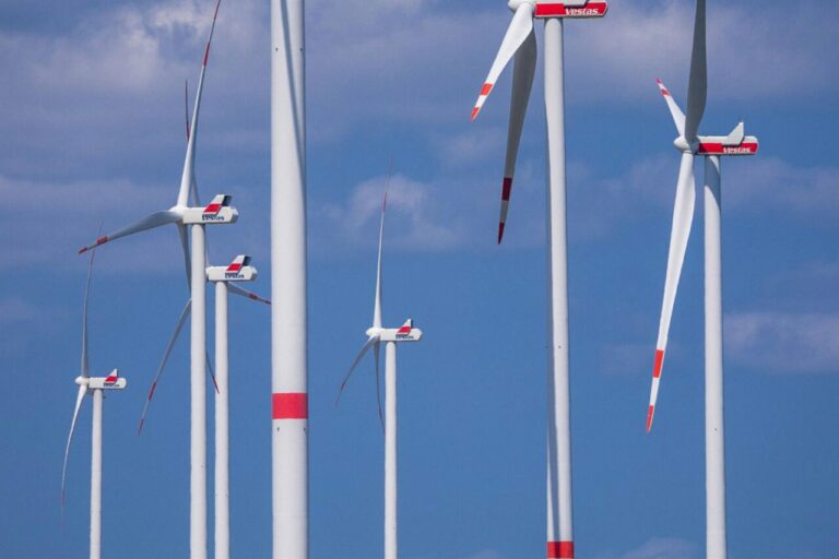Molinos de viento con componentes fabricados por Vestas (Foto: Jens Büttner/dpa)
