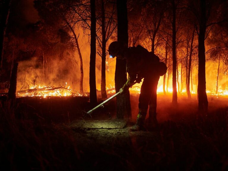 Un bombero trabaja para eimpedir que el incendio se propague (Foto: Eduardo Sanz - Europa Press)