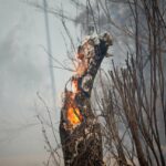 Incendio forestal (Foto: Carlos Castro - Europa Press)