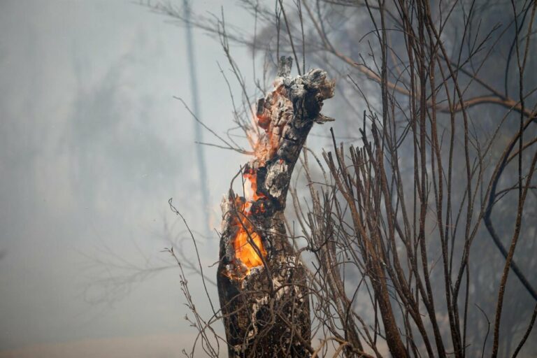 Incendio forestal (Foto: Carlos Castro - Europa Press)